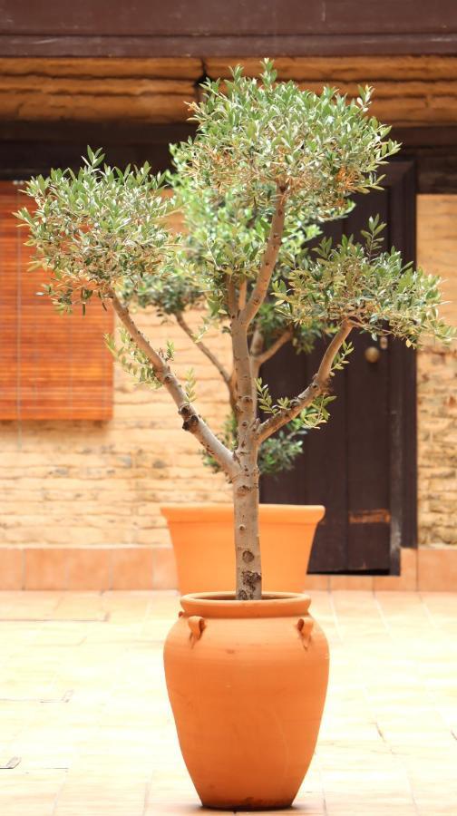 Apartamento Corral De Triana Seville Ngoại thất bức ảnh